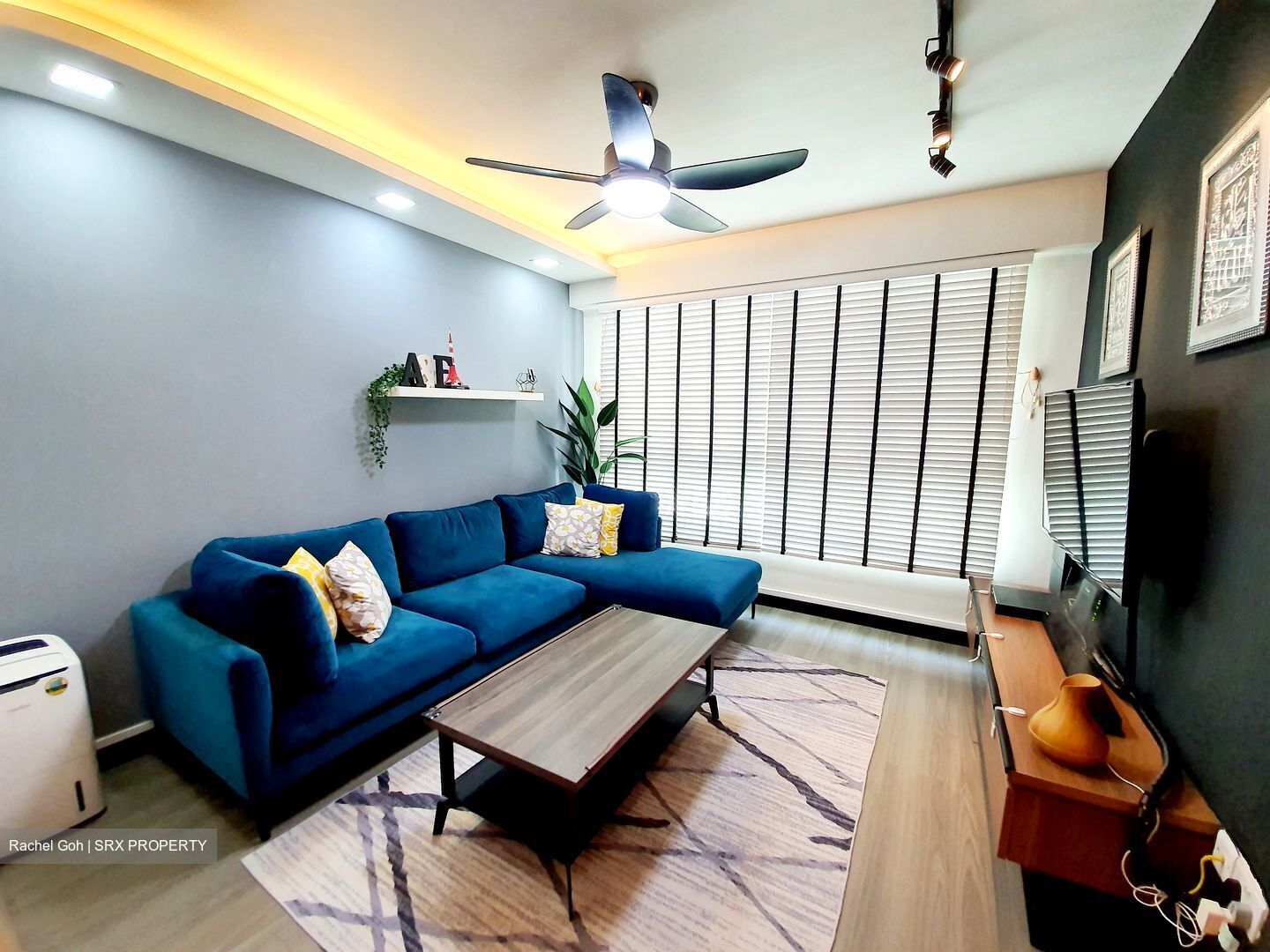 Woodlands Drive 50 thumbnail photo